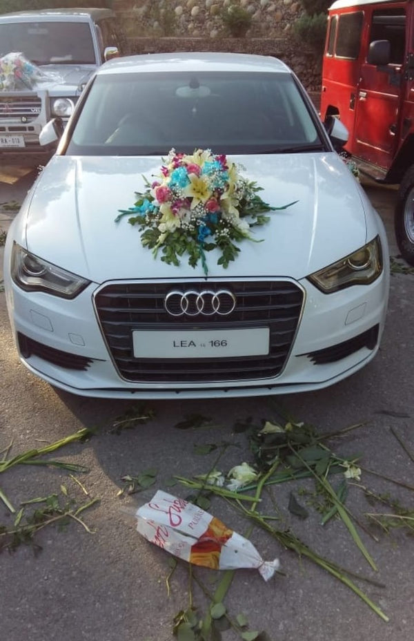 Audi Rim Spoke Floral Clips (Photography Only)
